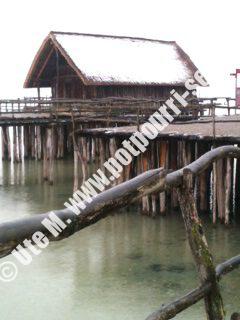 image-12-rotated image-12-rotated