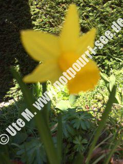 image Ostern