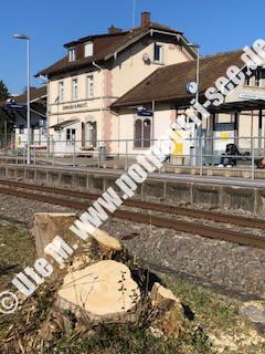 55B05DF3-8CD8-40A6-93C4-E276DD3E6986 55B05DF3-8CD8-40A6-93C4-E276DD3E6986